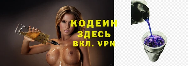 твердый Абаза