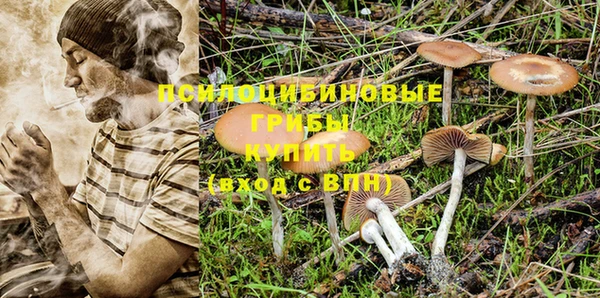 твердый Абаза